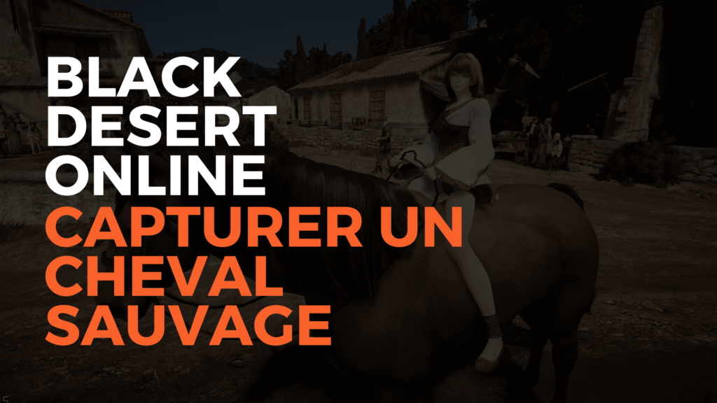 black desert online capturer un cheval sauvage, capturer cheval sauvage bdo, bdo france, black desert france, pearl abyss, misplay, tuto capturer un cheval savuage sur bdo
